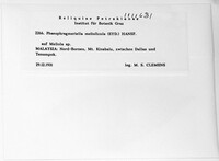 Image Associated With the Occurrence